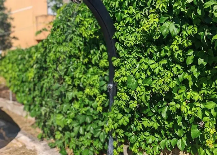 Island Retreat Penzion